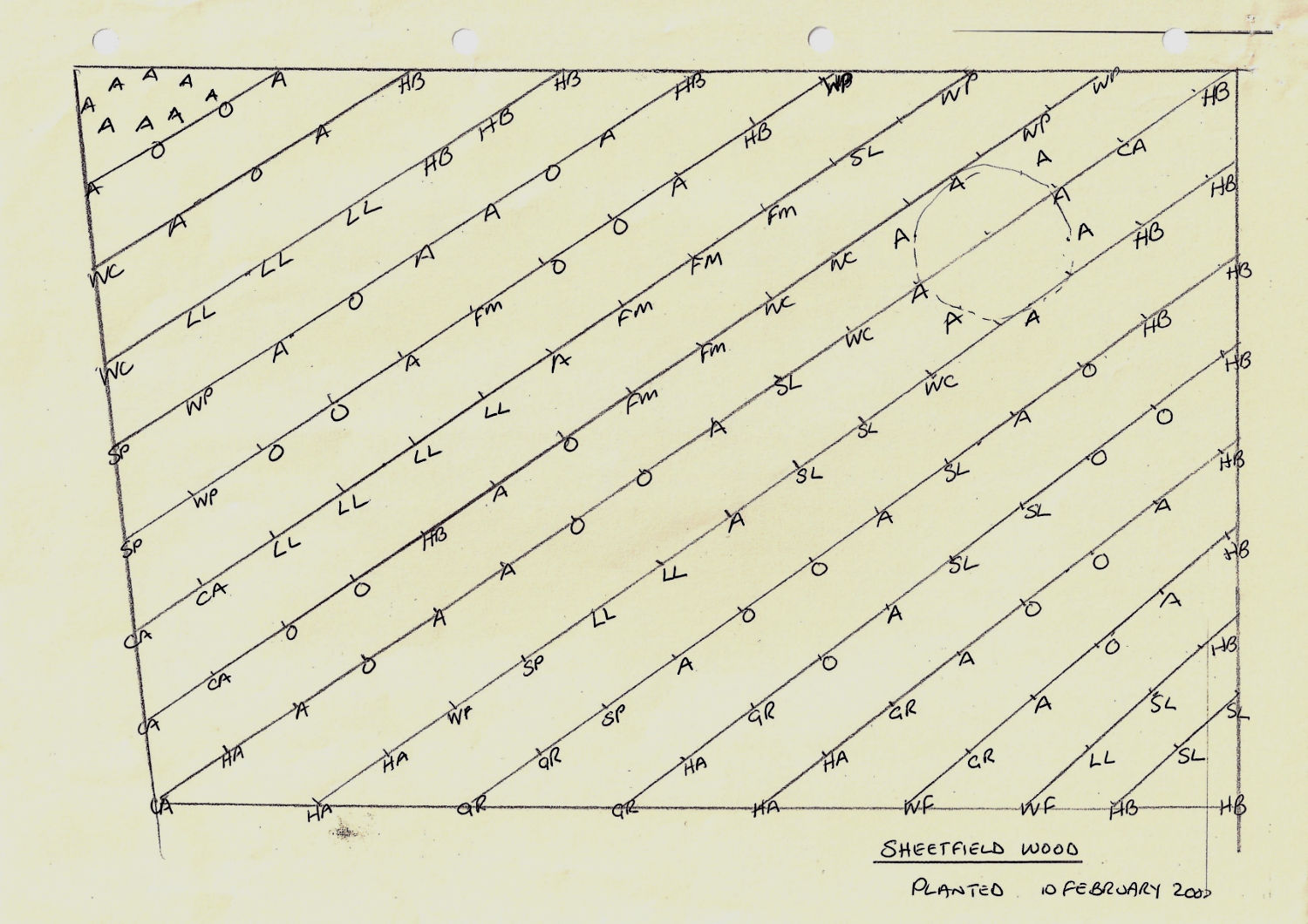 Sheet Field Document