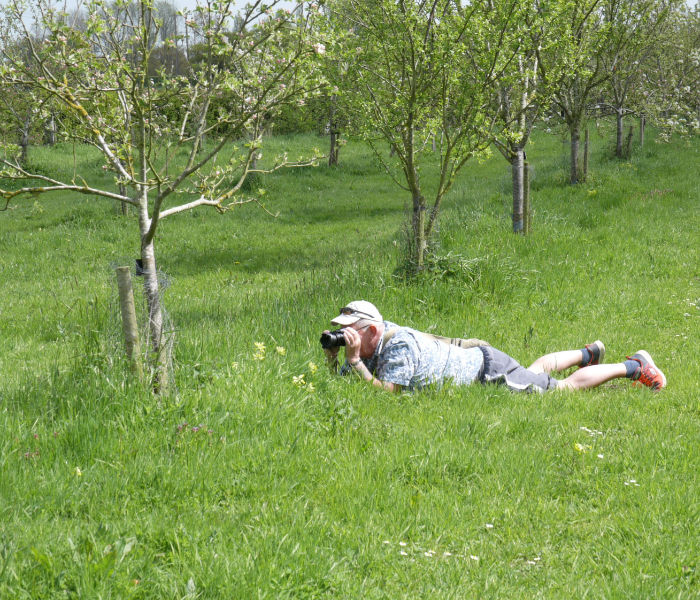 Orchard Header Image orchard binkos